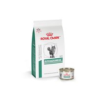 Royal Canin announces new feline diabetes diet for overweight cats