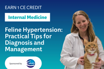 Feline Hypertension: Practical Tips for Diagnosis and Management
