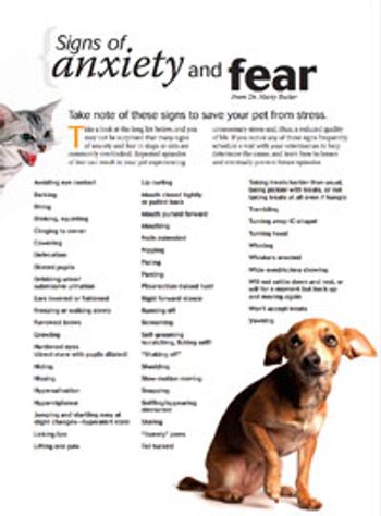 veterinary_handout_signs_anxiety_fear.jpg