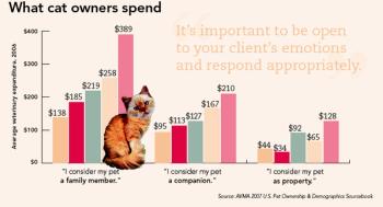 cat_spend-634473-1384413351438.jpg