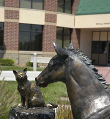 veterinary_03_CSU.jpg