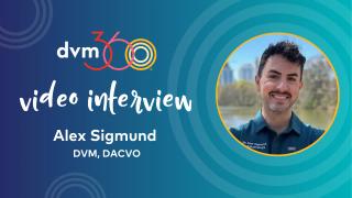 Corneal ulcers: Common misconceptions