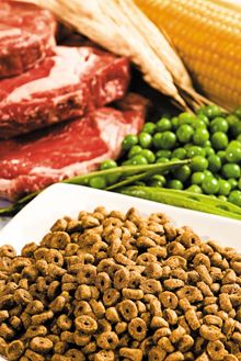 veterinary_nutritious_pet_food_220px_147070996.jpg