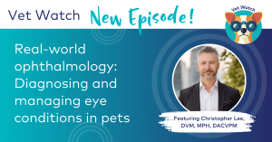 Real-world ophthalmology: Diagnosing and managing eye conditions in pets