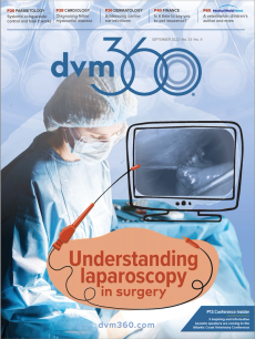 dvm360 September 2022