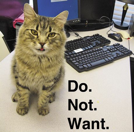 Is Your Veterinary Social Media Policy Up To Scratch Is Your Veterinary Social Media Policy Up To Scratch