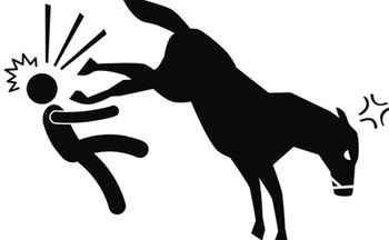 kicking_horse_450.jpg