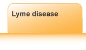 InfectionTabs_06-661216-1384323396588.jpg