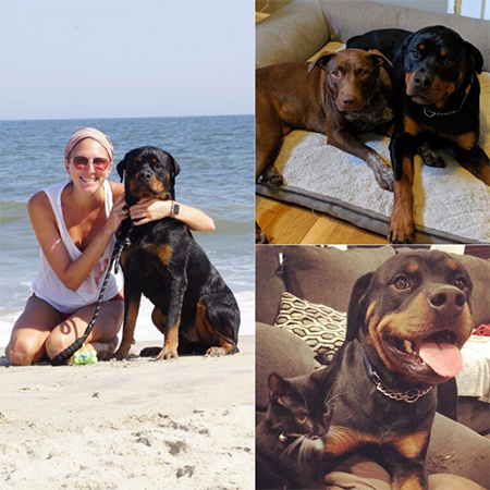 Frank Photo Collage 2.png