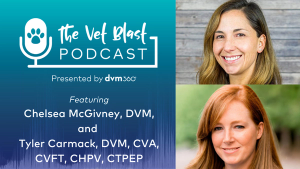 Leveling up end-of-life care: Excellence, compassion, and the future of veterinary hospice