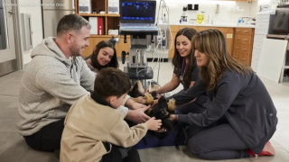 VEG to open 15 more locations in 2023