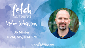 Why amphibians respond differently to anesthesia and analgesia