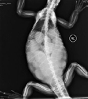 Figure-3-cropped_t-564425-1384602480164.jpg