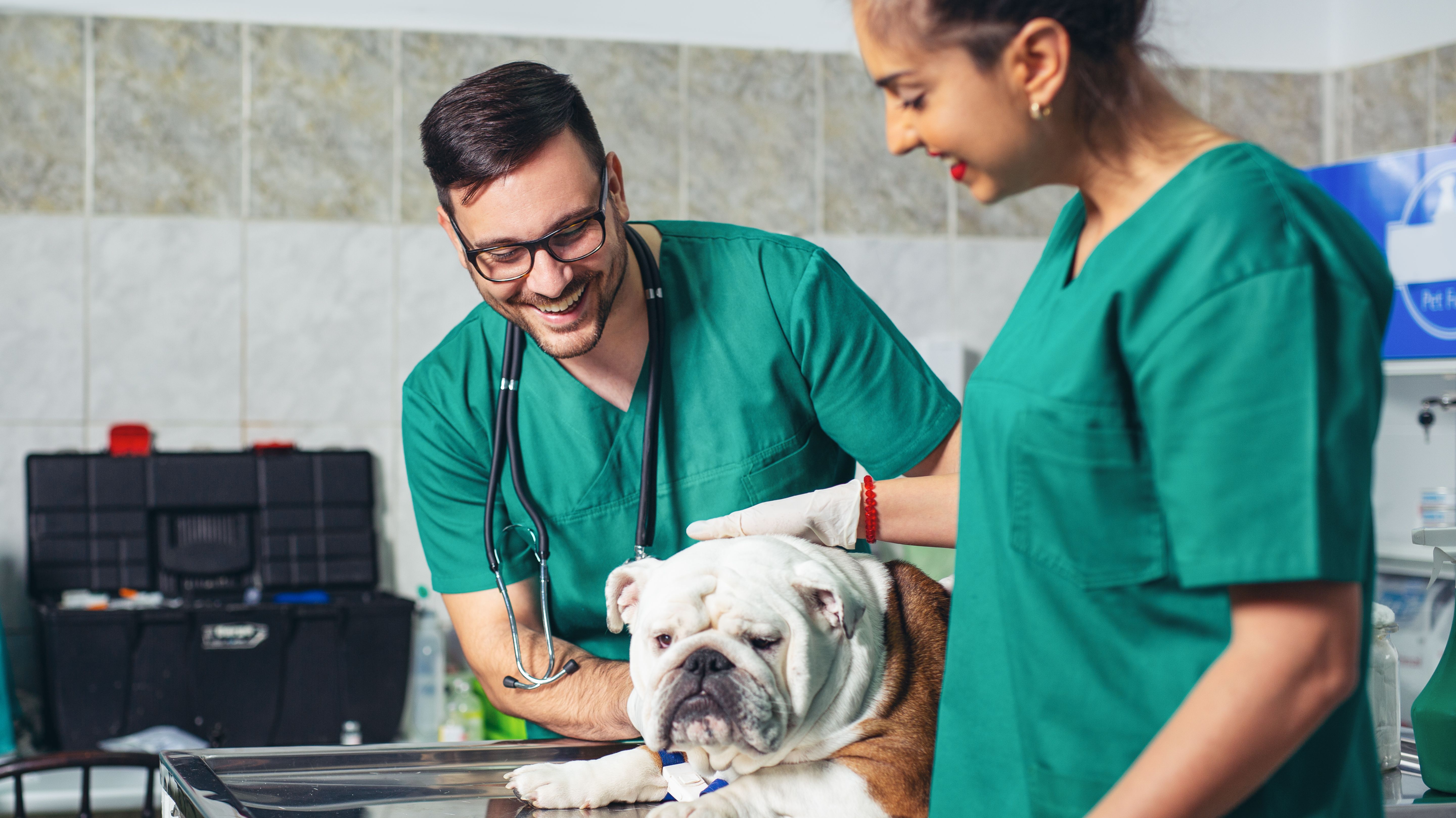 Affordable And Exceptional Veterinary Care Treating Your Pet Without Breaking The Bank - np0ttol