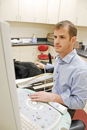 veterinary_Ryan_King_200x299.jpg