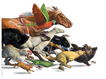 Stampedeanimals450.jpg