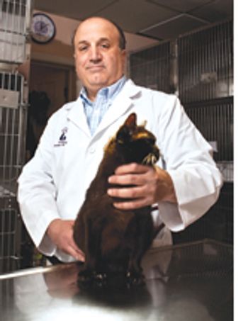 oldervet-598663-1384512004260.jpg