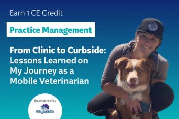 From Clinic to Curbside: Lessons Learned on My Journey as a Mobile Veterinarian