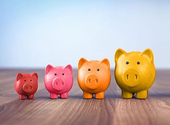 veterinary-fetch-gradient-piggy-banks-money-AdobeStock_122364265-450px.jpg