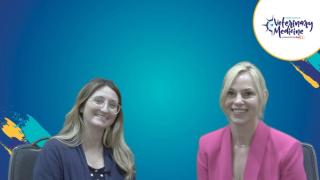 Locoregional analgesia for pain management in veterinary medicine