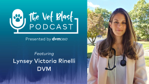Becoming an author, mother, and leader in veterinary medicine