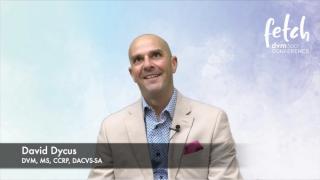 sound wave / stock.adobe.com / your123