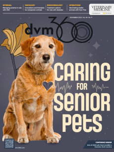dvm360 November 2023
