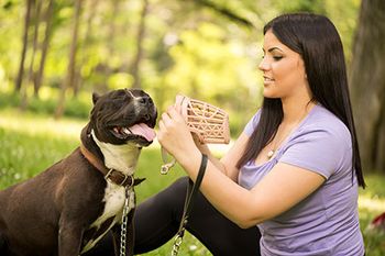 veterinary-dog-muzzle-AdobeStock_83878456-450.jpg