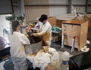 veterinary_oil_spill_5-676620-1384277338676.jpg