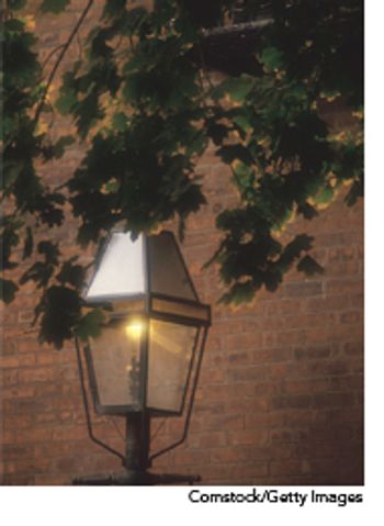 veterinary_street_light_wd-689416-1384225478262.jpg