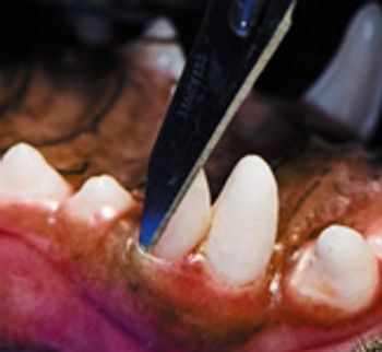 veterinary_0111_bellows8-701974-1384213583450.jpg