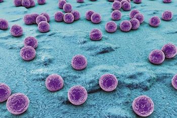 veterinary-spherical-bacteria-450px-shutterstock-295214147.jpg