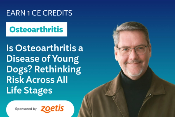 Is Osteoarthritis a Disease of Young Dogs? Rethinking Risk Across All Life Stages