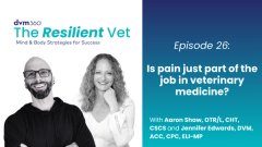 Is pain just part of the job in veterinary medicine?