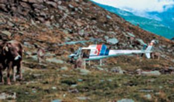 VeterinaryHelicopterGround-575300-1384527713682.jpg