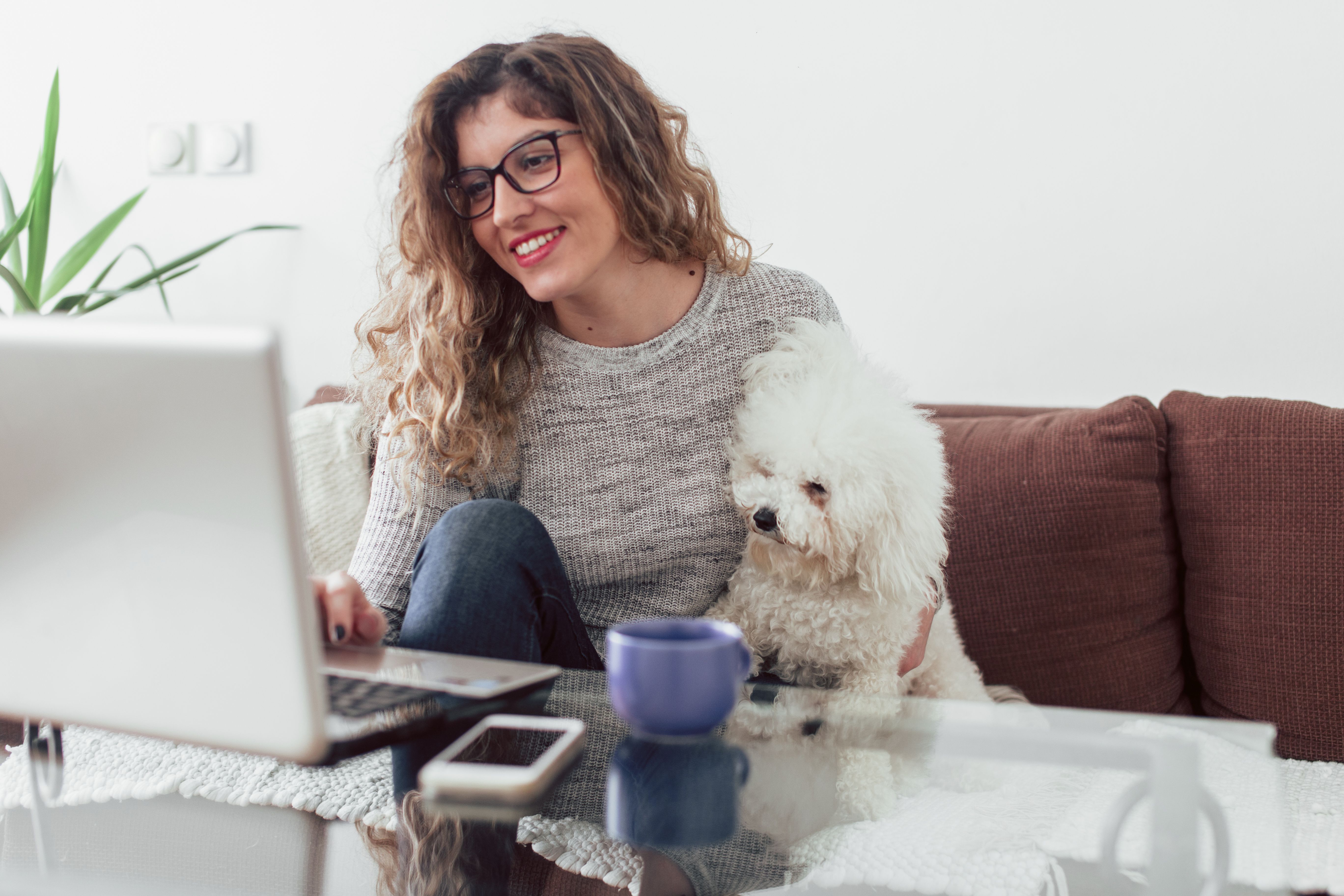 veterinary webinars 4 free live events