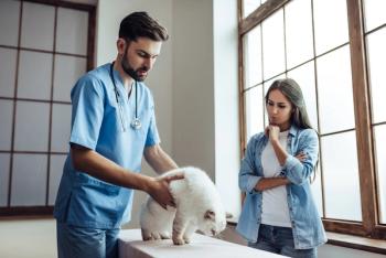 Emotional Intelligence