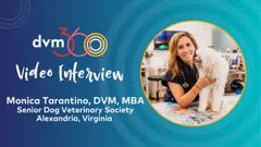 Approaching end-of-life conversations with compassion