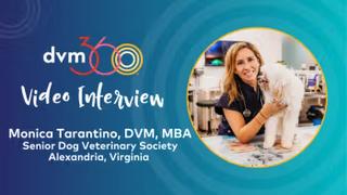 Approaching end-of-life conversations with compassion