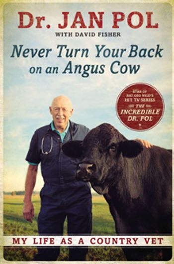Never_Turn_Your_Back_on_an_Angus_Cow.jpg