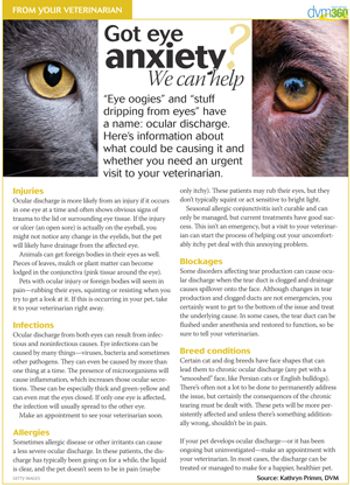 veterinary-handout-KathrynPrimm-OcularDischarge-300px.jpg