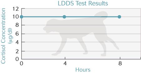 Lddst Testing Low Dose Dex Test Dog | Dexamethasone Test – KPPT