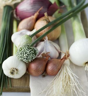 veterinary_onions_460-671014-1384318474629.jpg