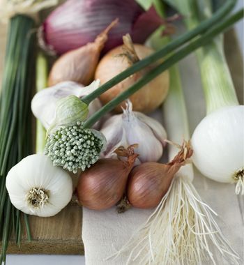 veterinary_onions_460-671014-1384318474629.jpg