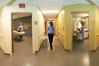 veterinary_rooms-814941-1404223078163.jpg