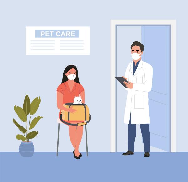 Strategic design of geriatric pet programs in veterinary practice: Part 2