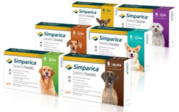 Simparica-zoetis_body.jpg