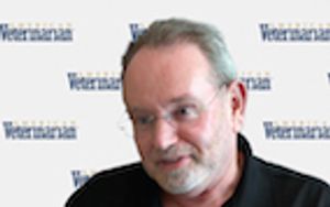 Are Grains Bad for My Pet?