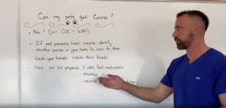 dvm360's Chief Veterinary Officer offers coronavirus advice and guidance