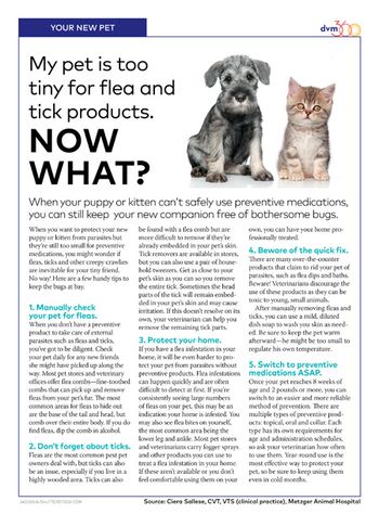 veterinary-handout-kreimer0411-tinypets-body-1.jpg